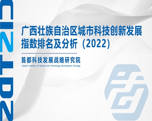 爱艹视频【成果发布】广西壮族自治区城市科技创新发展指数排名及分析（2022）